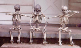 Hear, see, speak no evil skeletons